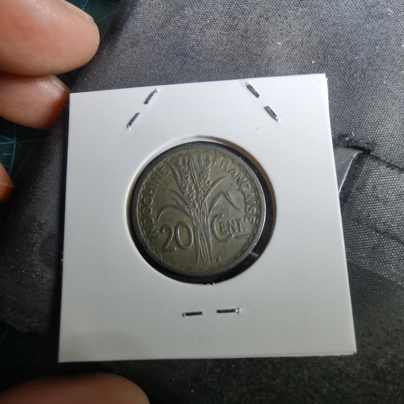 沼泽如烟--第950场