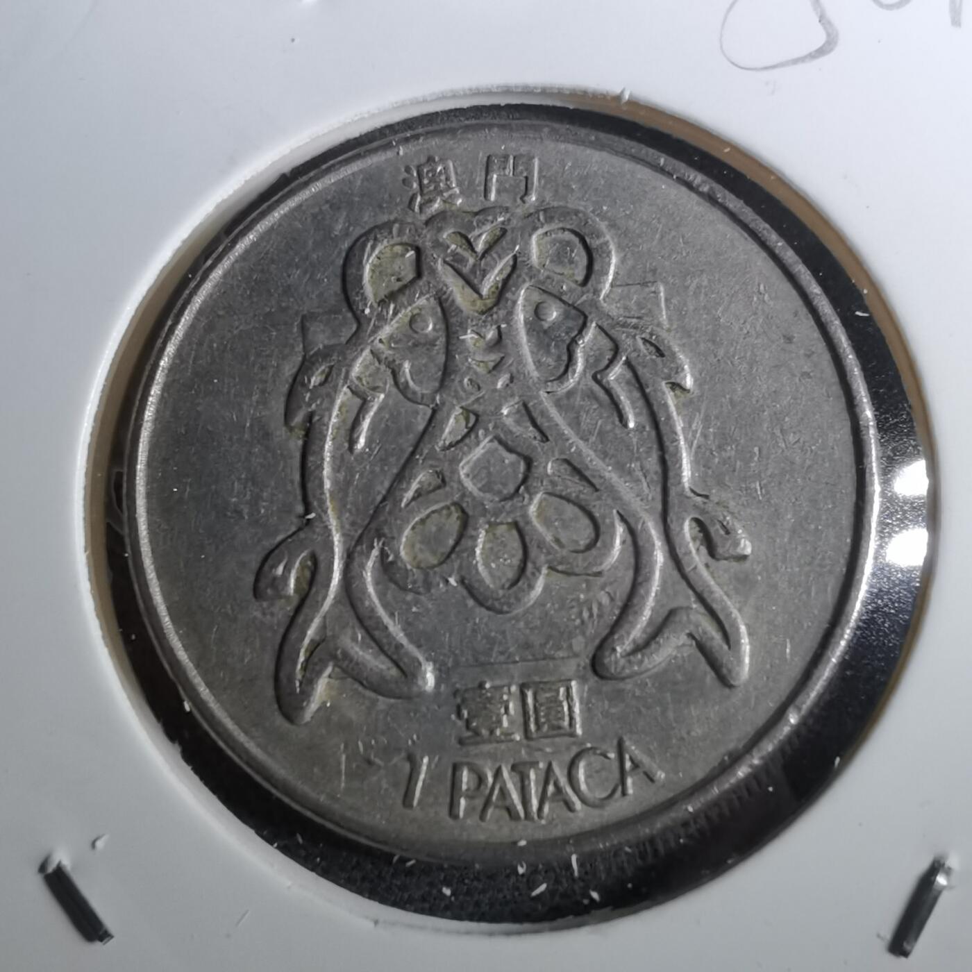 沼泽如烟--第950场