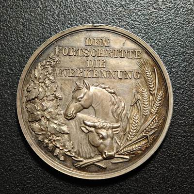 【德藏】世界币章拍卖第160期 - 1870年 奥地利恩斯地区皇家农业协会创立表彰奖章纪念银章 设计精美 吊环去除 直径约：39.3mm；重约：24.9g