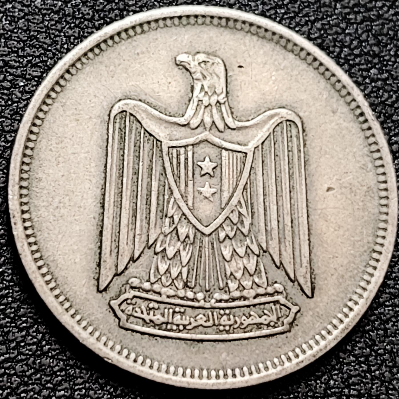 泉币菌-第159场-新年第二场 精品福利场 。