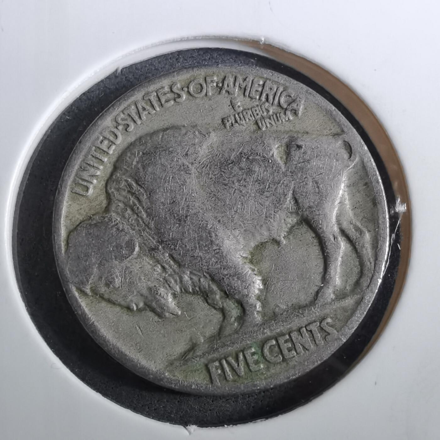 沼泽如烟--第950场 美国1929年五分野牛