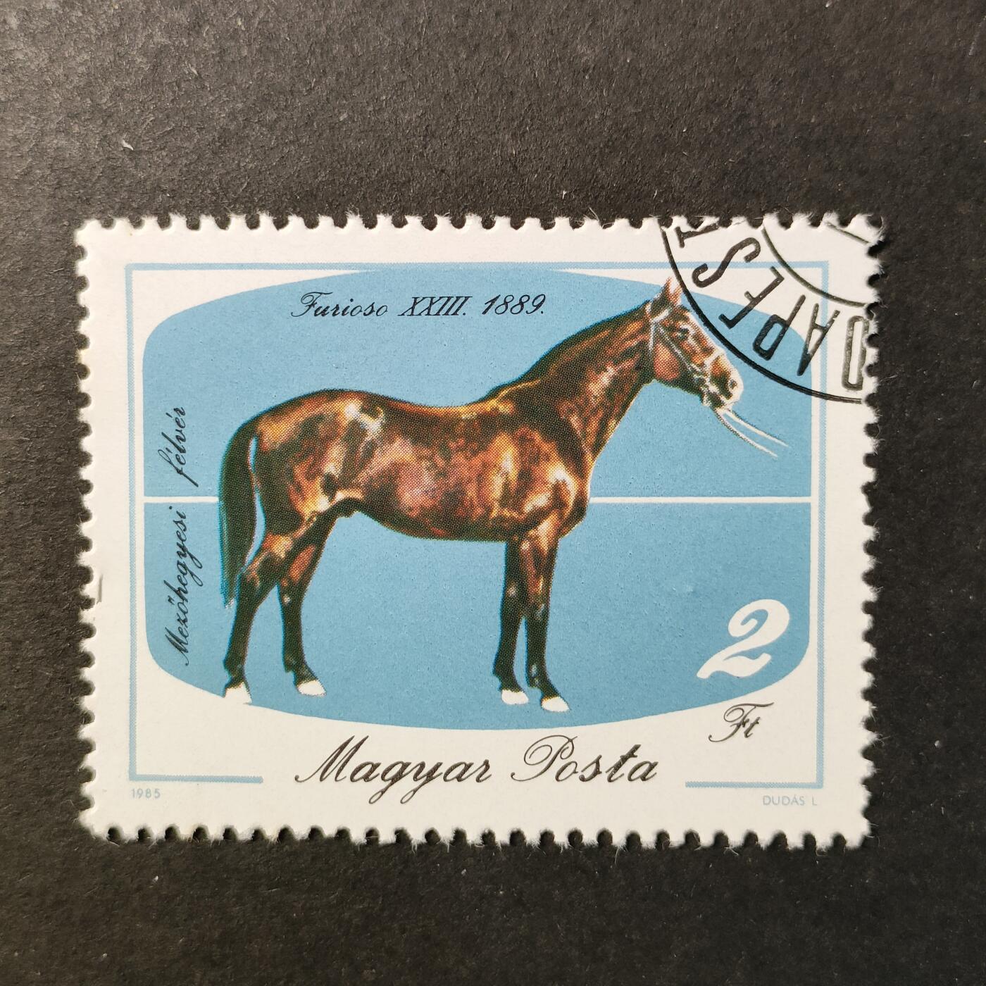 嘉禾收藏    【第425期】            无佣金、可寄存、满30元包邮 邮票一枚