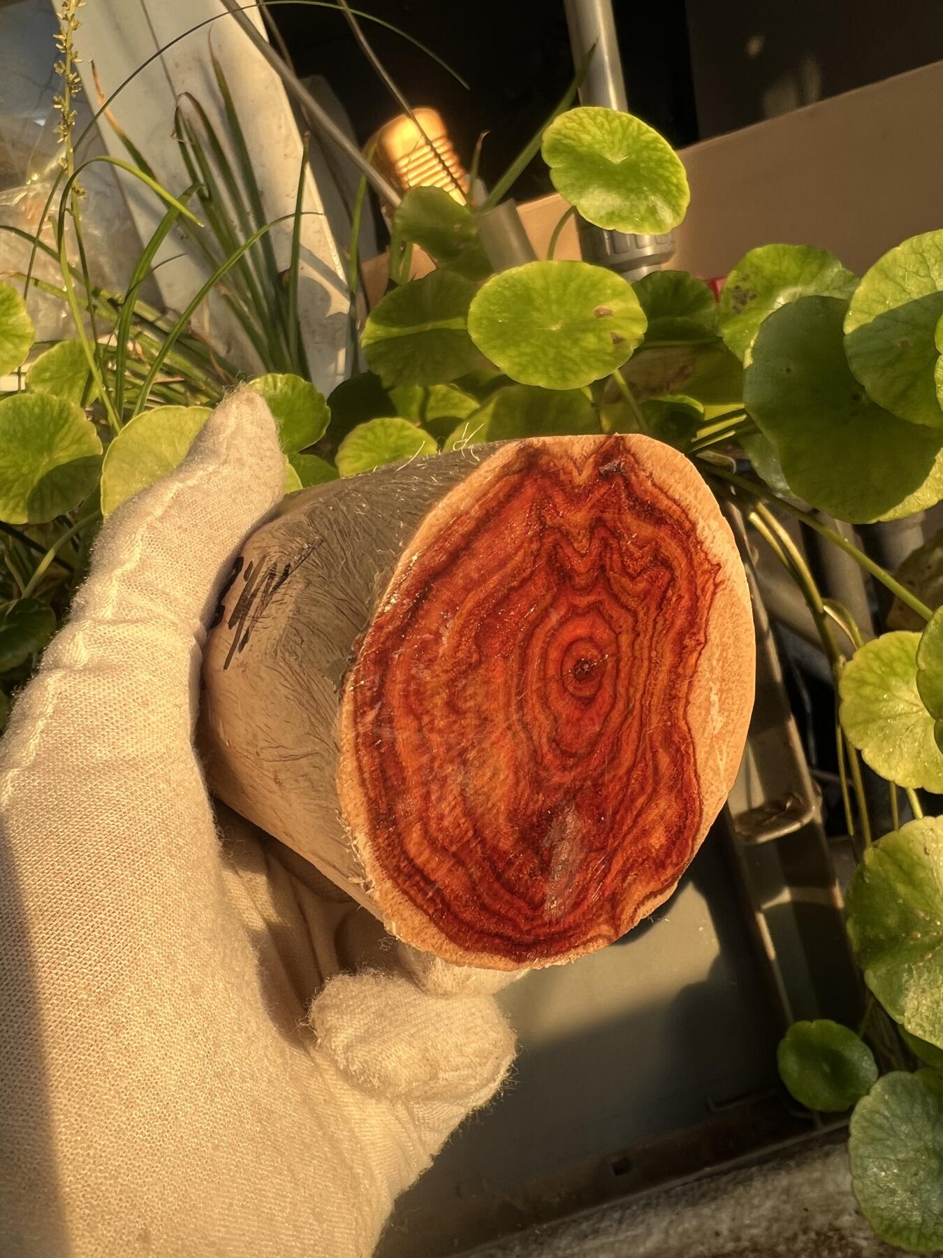 零元拍：  NO.88海南黄花梨原料。尺寸约105/50/50MM