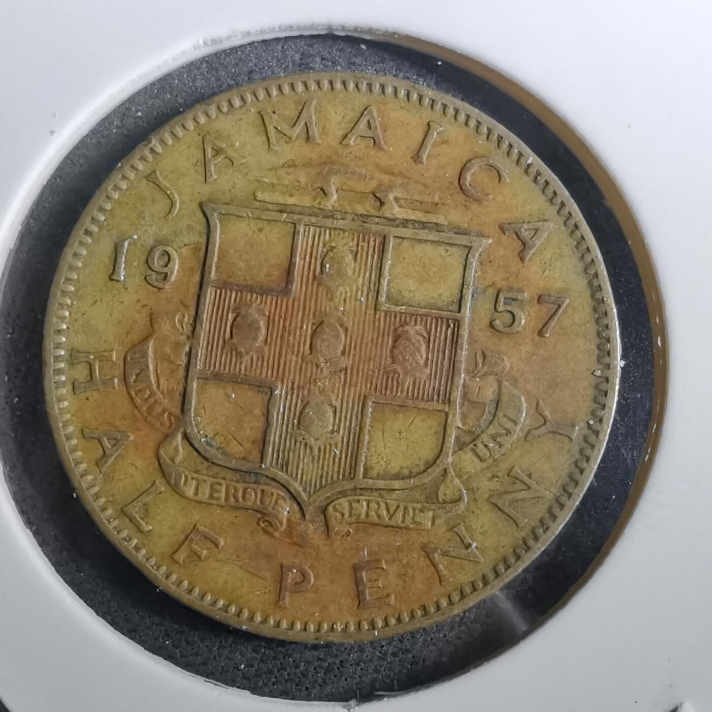 沼泽如烟--第950场