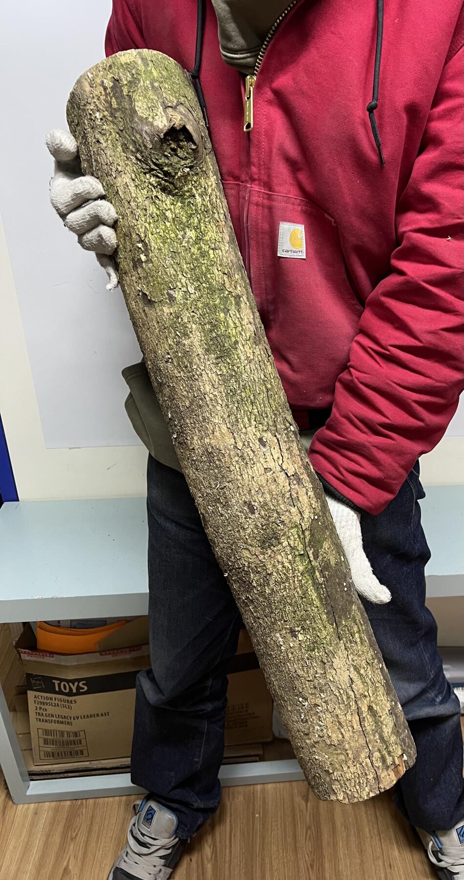 零元拍： 1231-1 金丝楠 原木 风水柱 横财（材）带皮， 尺寸：76.5/15/11.5CM。