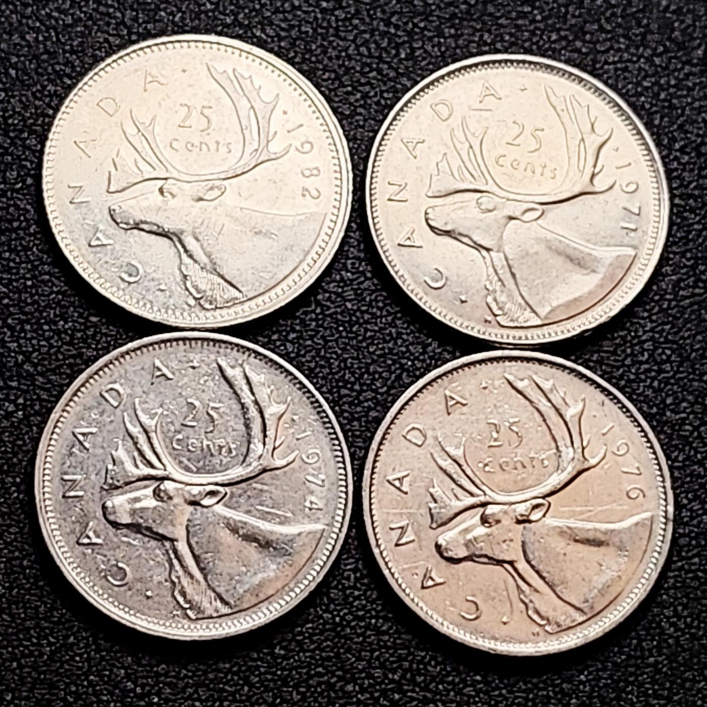 泉币菌-第159场-新年第二场 精品福利场 。