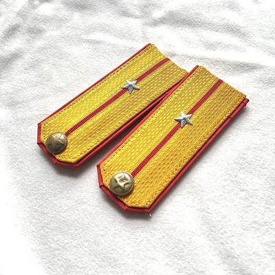 【第肆場】近代勋奖章徽章服饰杂项专场 - 朝鲜人民军肩章