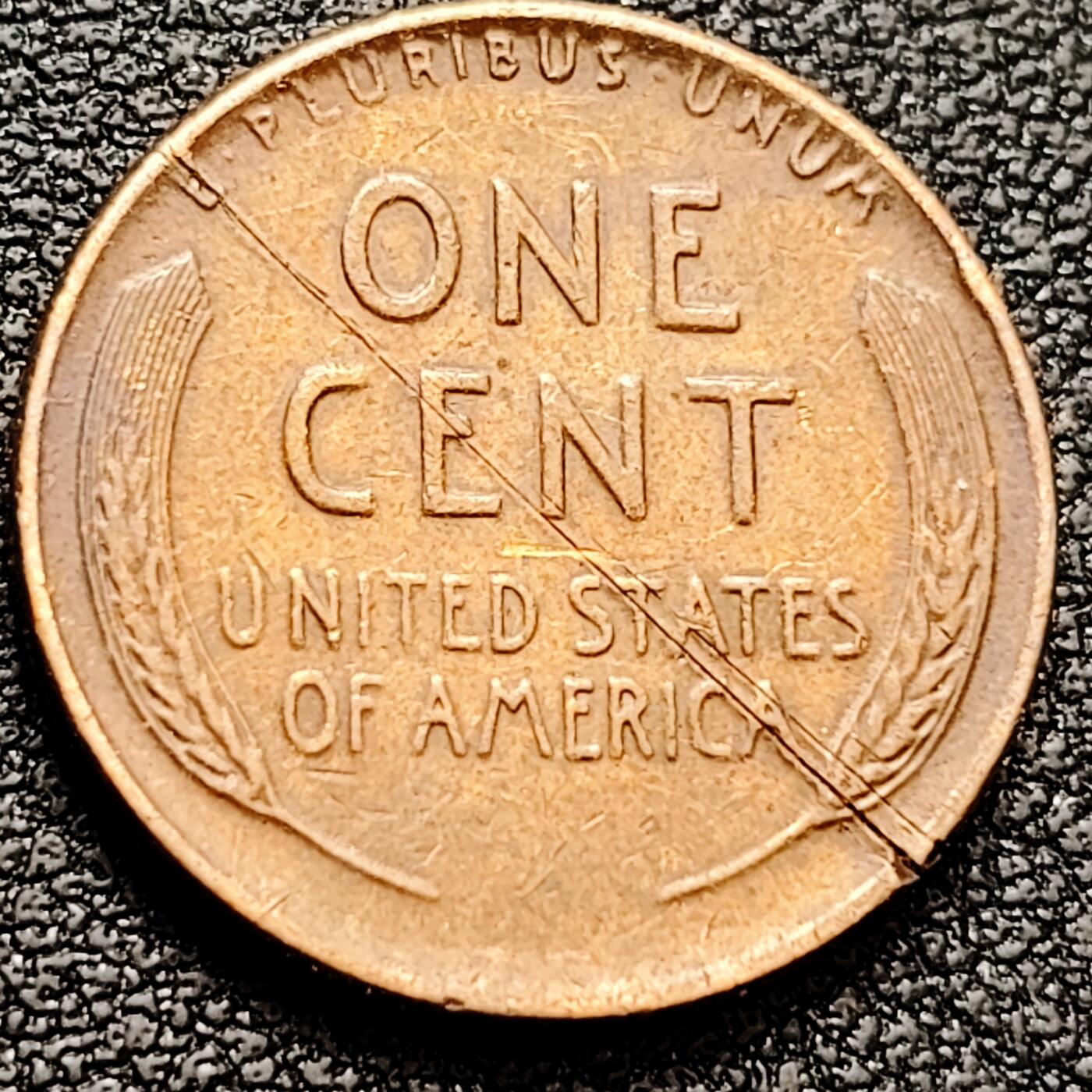 泉币菌-第159场-新年第二场 精品福利场 。