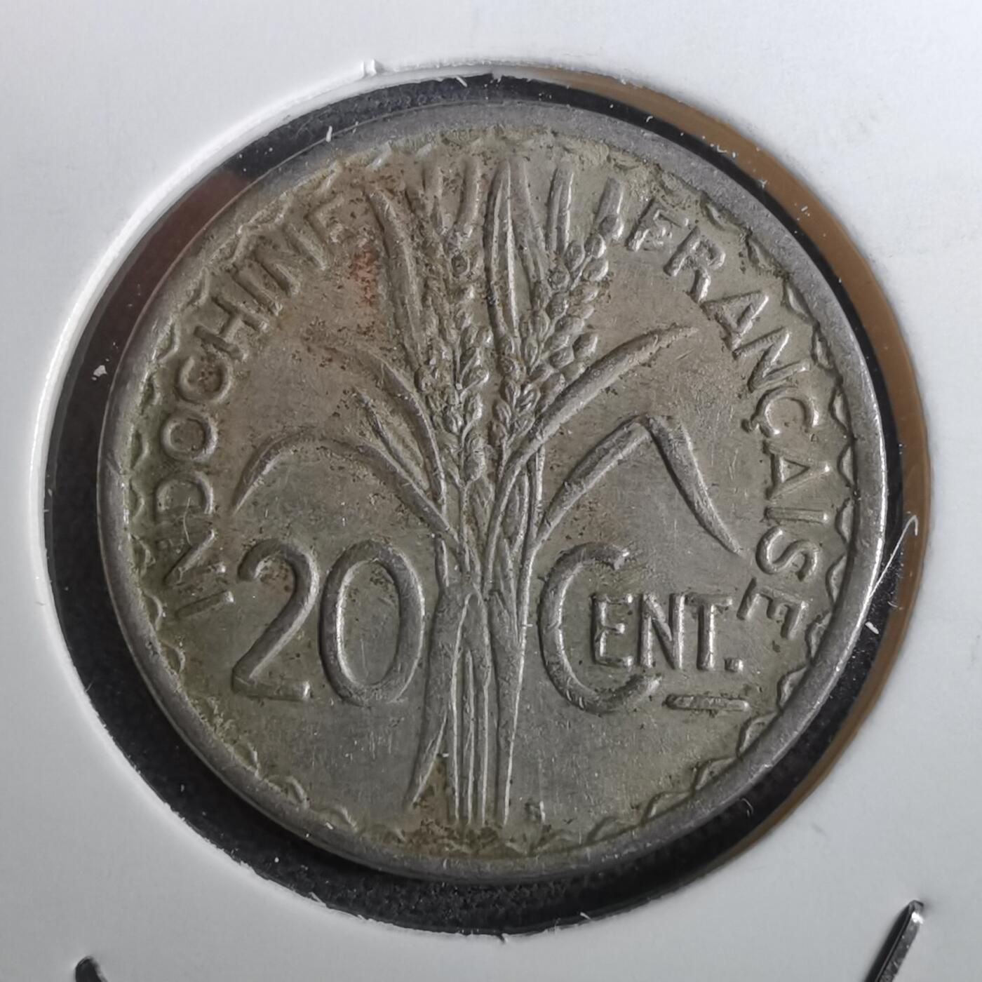 沼泽如烟--第950场