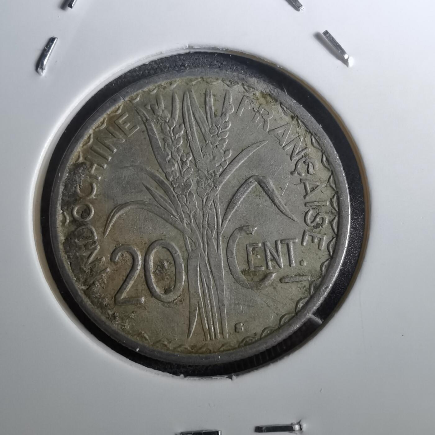 沼泽如烟--第950场