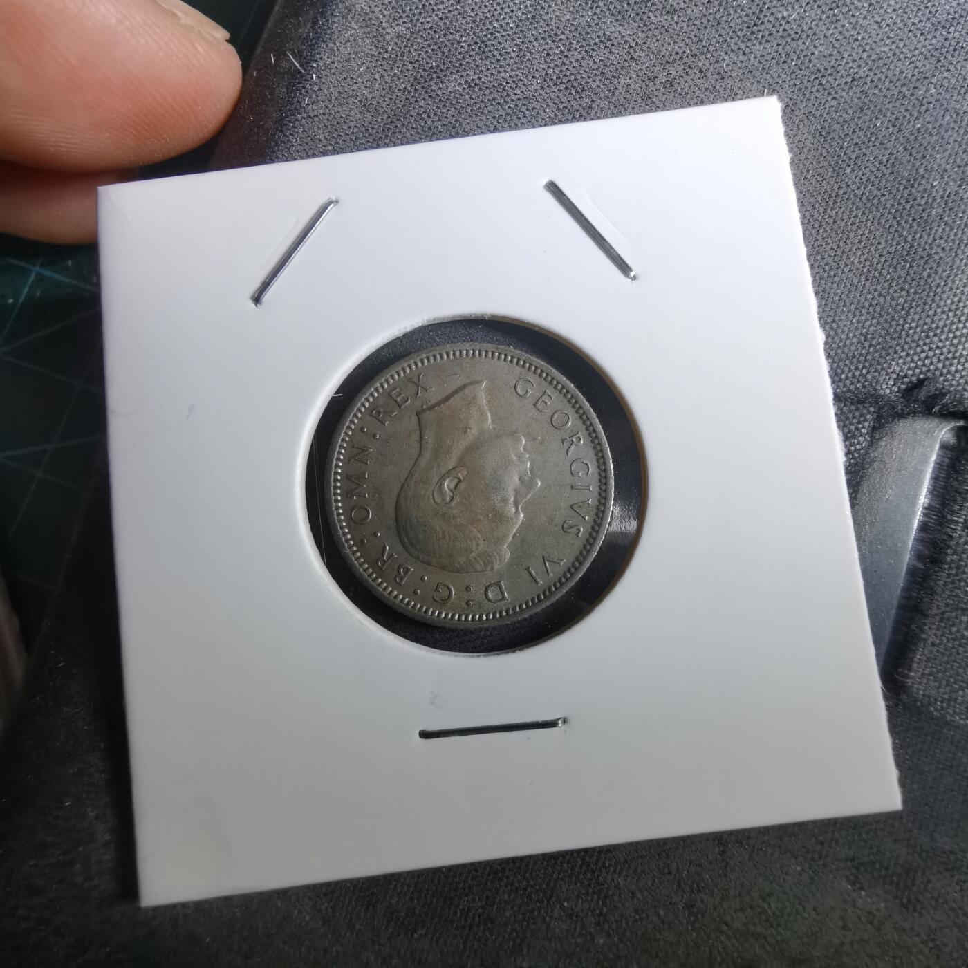 沼泽如烟--第950场