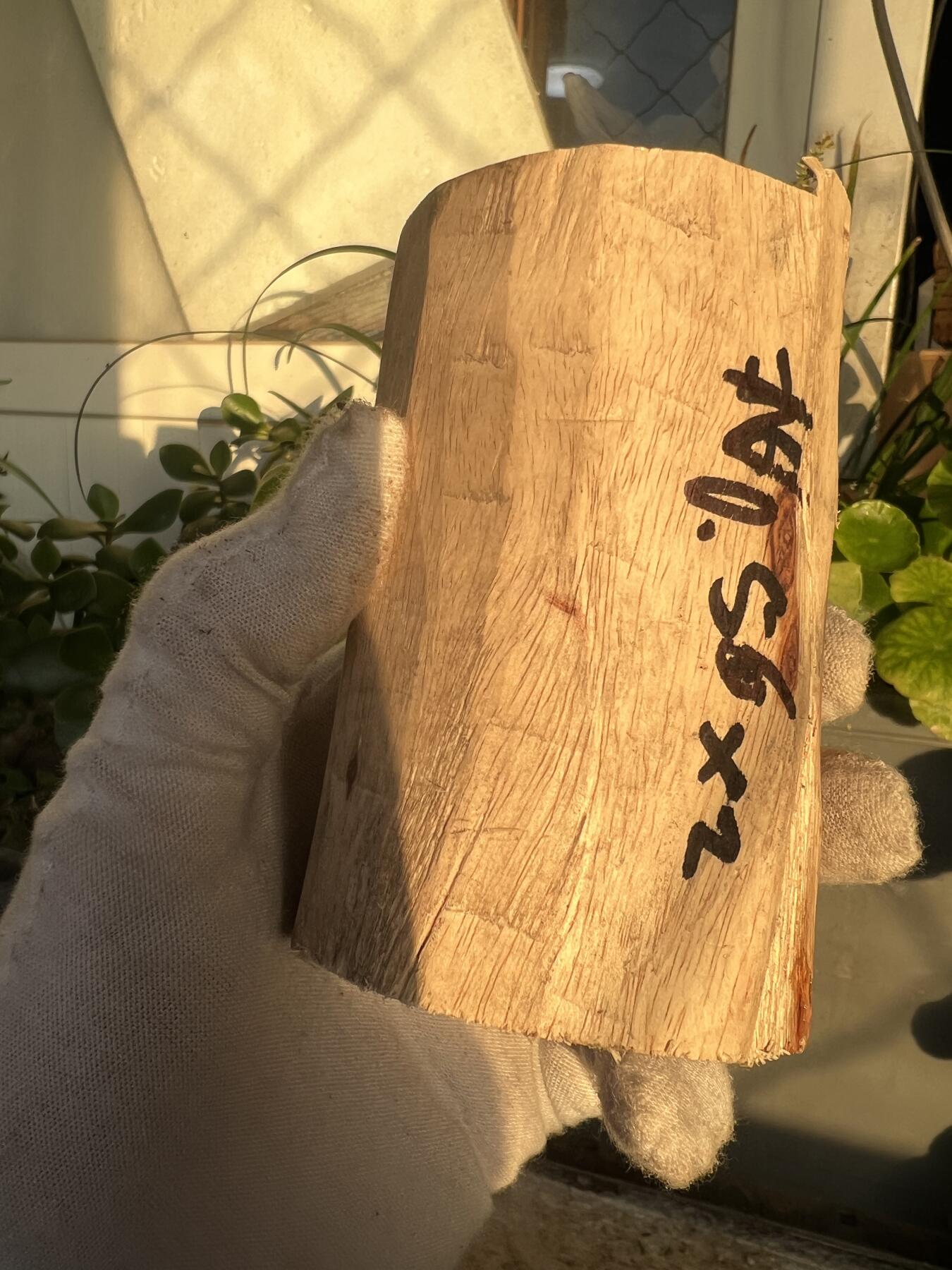 零元拍：  NO56-2 海南黄花梨原料。尺寸约105/50/50MM