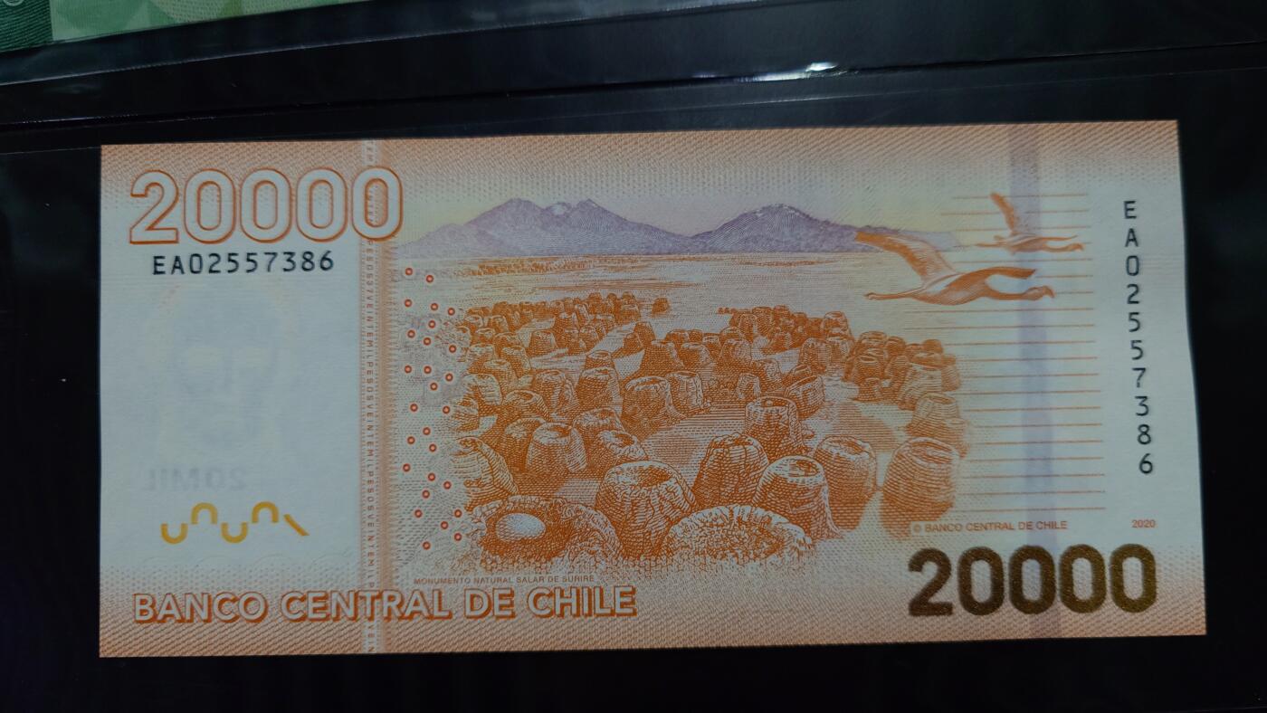 【新年五拍】世界钱币～微拍第226期暨2025年第66期   2020年智利20000 全新绝品无4尾号386