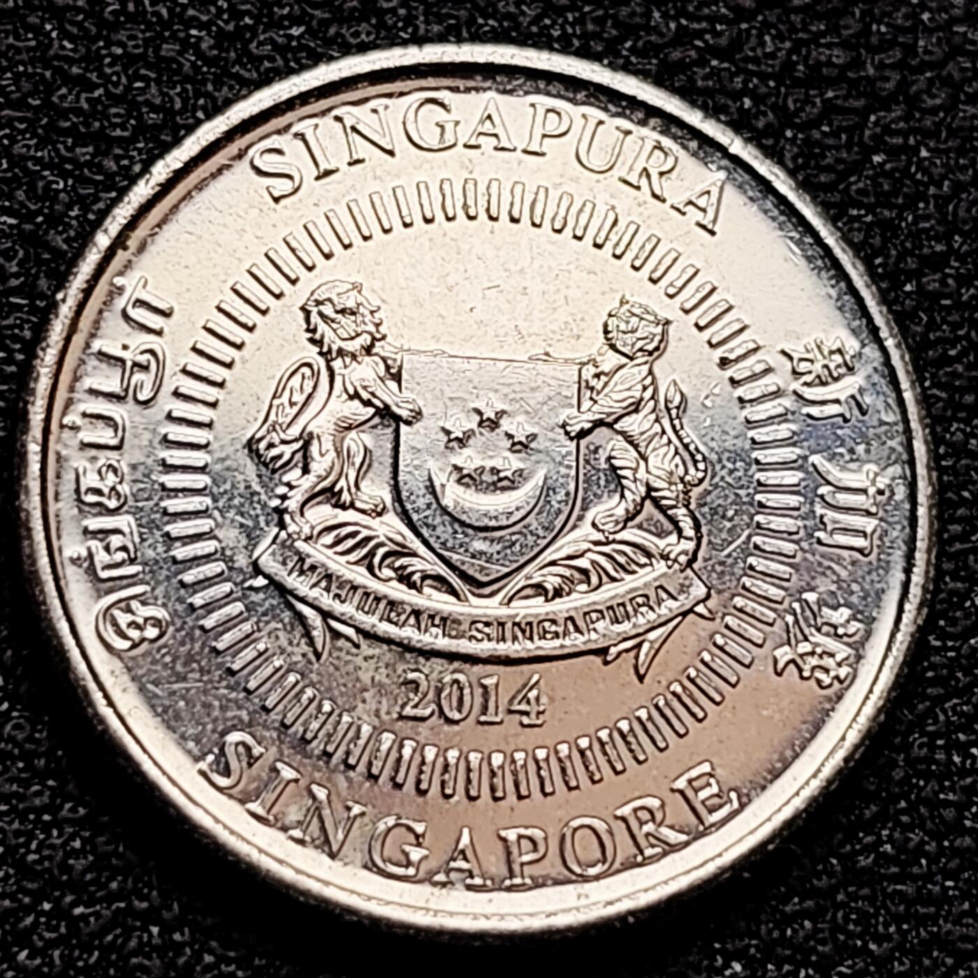 泉币菌-第159场-新年第二场 精品福利场 。