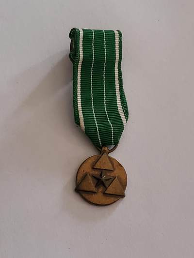 韵星假日拍卖第三十五期 -- Rimey Holidays Auction 34 - 美国陆军文职服务人员嘉奖奖章mini