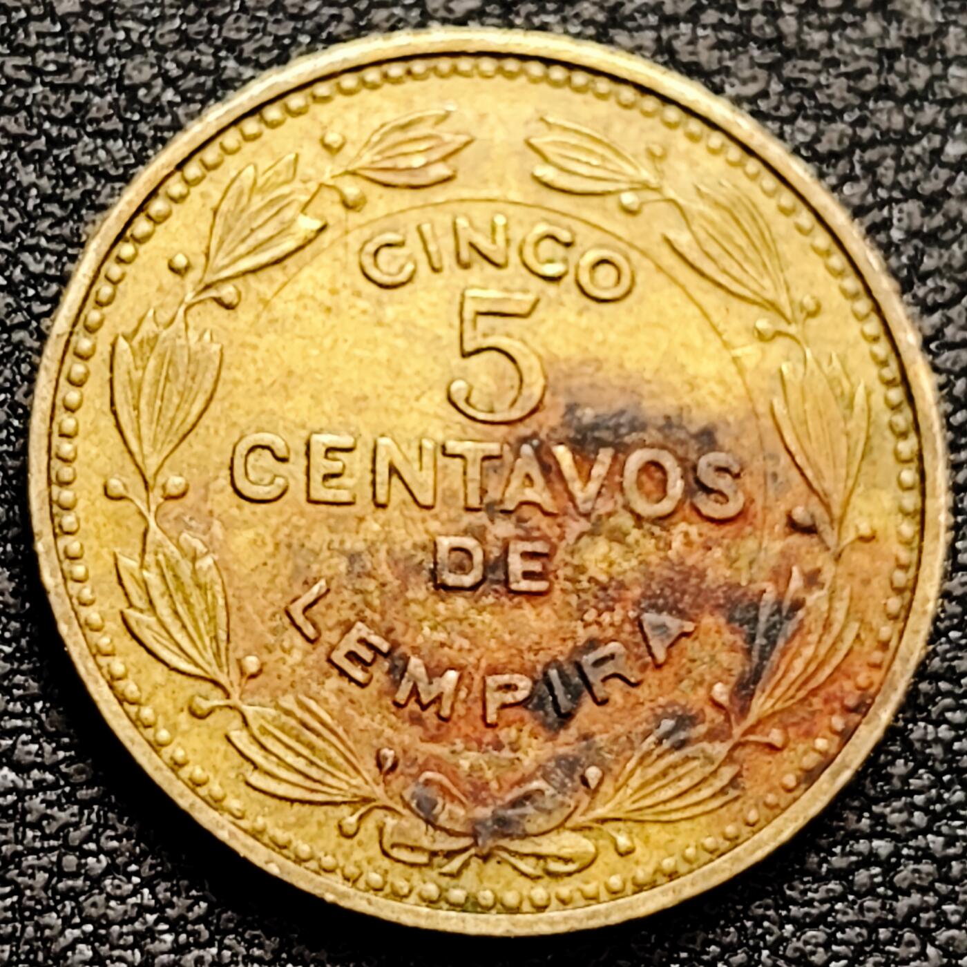 泉币菌-第159场-新年第二场 精品福利场 。