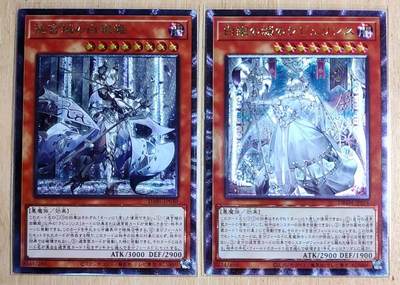 龙虎卡牌-七零场，2026首场，全场包邮！！（无佣金，周六结拍，欢迎送拍） - 粗闪2张 藏无缺卡牌 璇哥 游戏王-白银姬