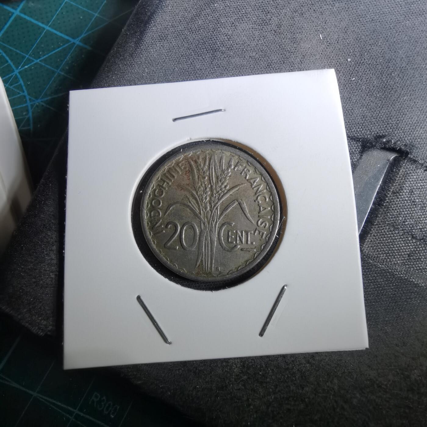 沼泽如烟--第950场