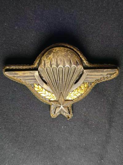 罗岚⭐爱藏⭐甄选专拍第三场-分享拍场赚佣（实体店在建中···） - 法兰西共和国伞兵伞降铜证章 超大一枚