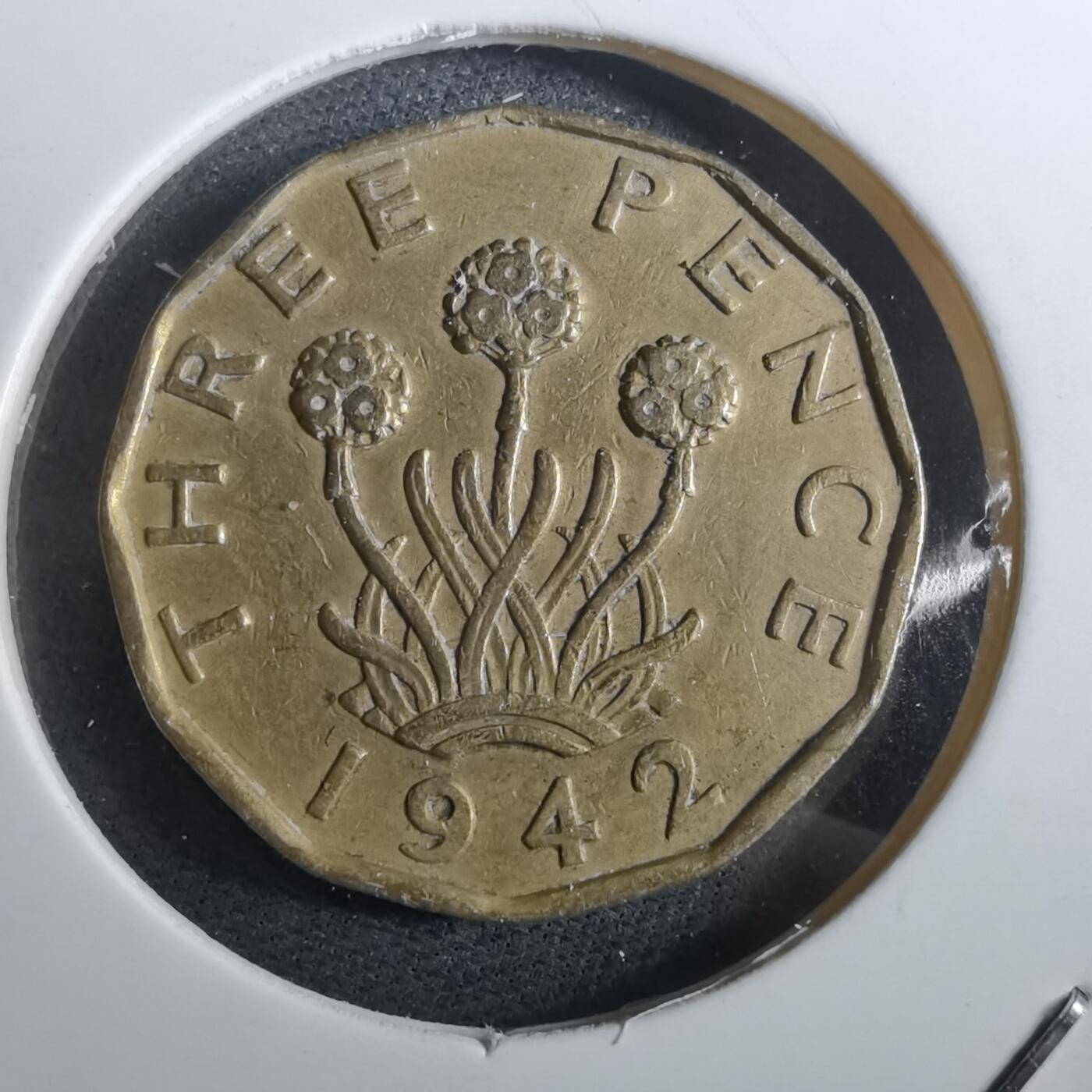 沼泽如烟--第950场