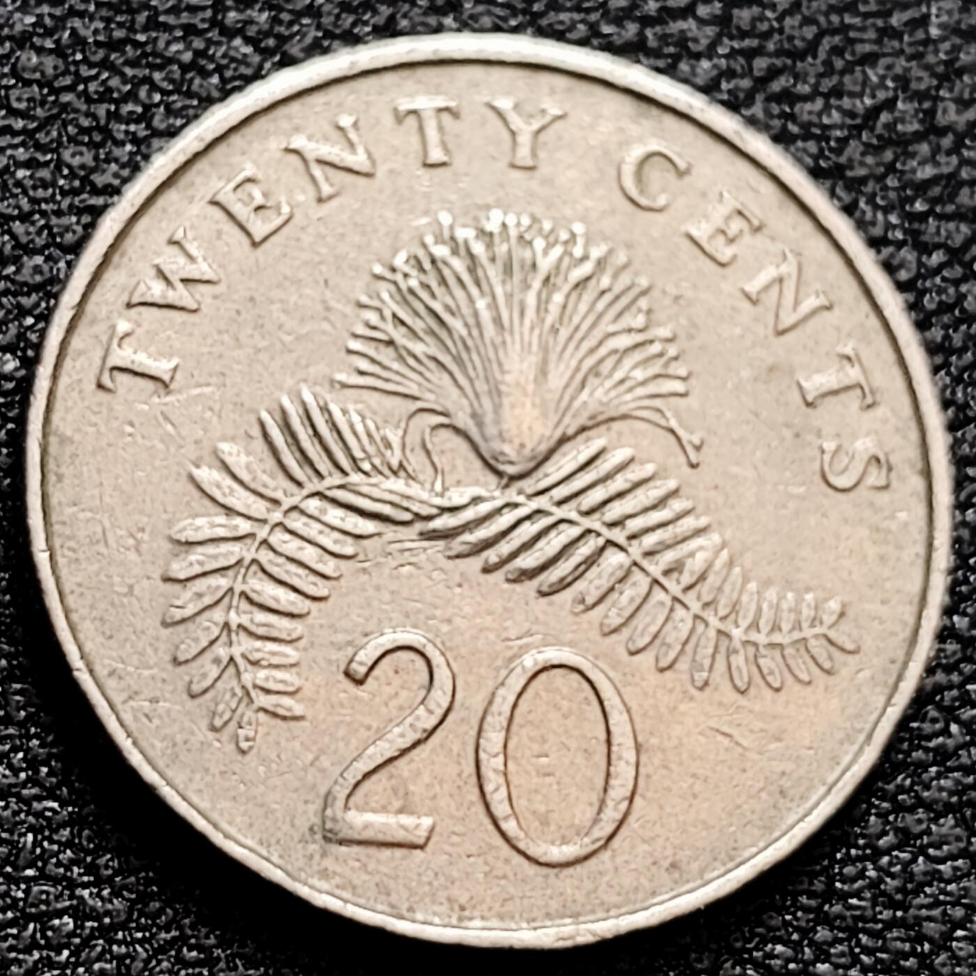 泉币菌-第159场-新年第二场 精品福利场 。