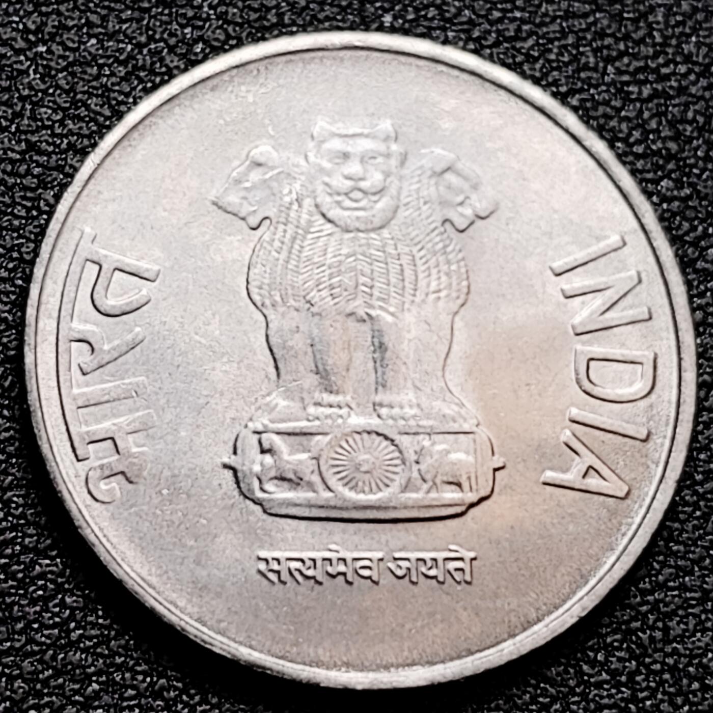 泉币菌-第159场-新年第二场 精品福利场 。