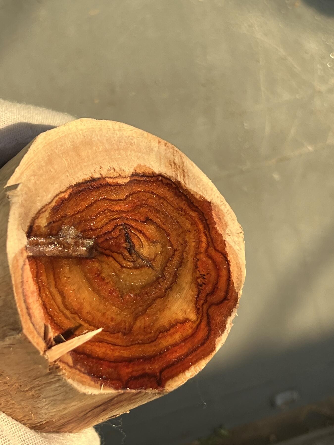 零元拍：  NO56-2 海南黄花梨原料。尺寸约105/50/50MM