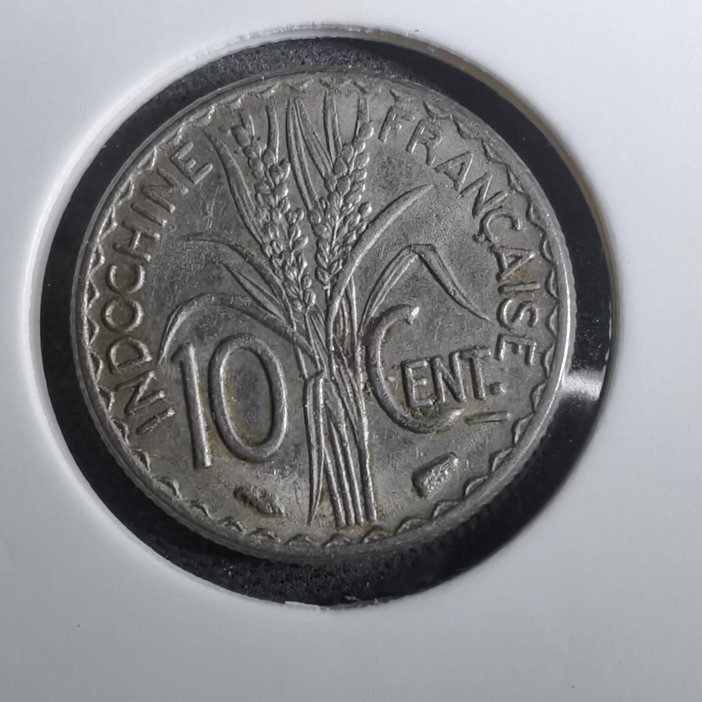 沼泽如烟--第950场