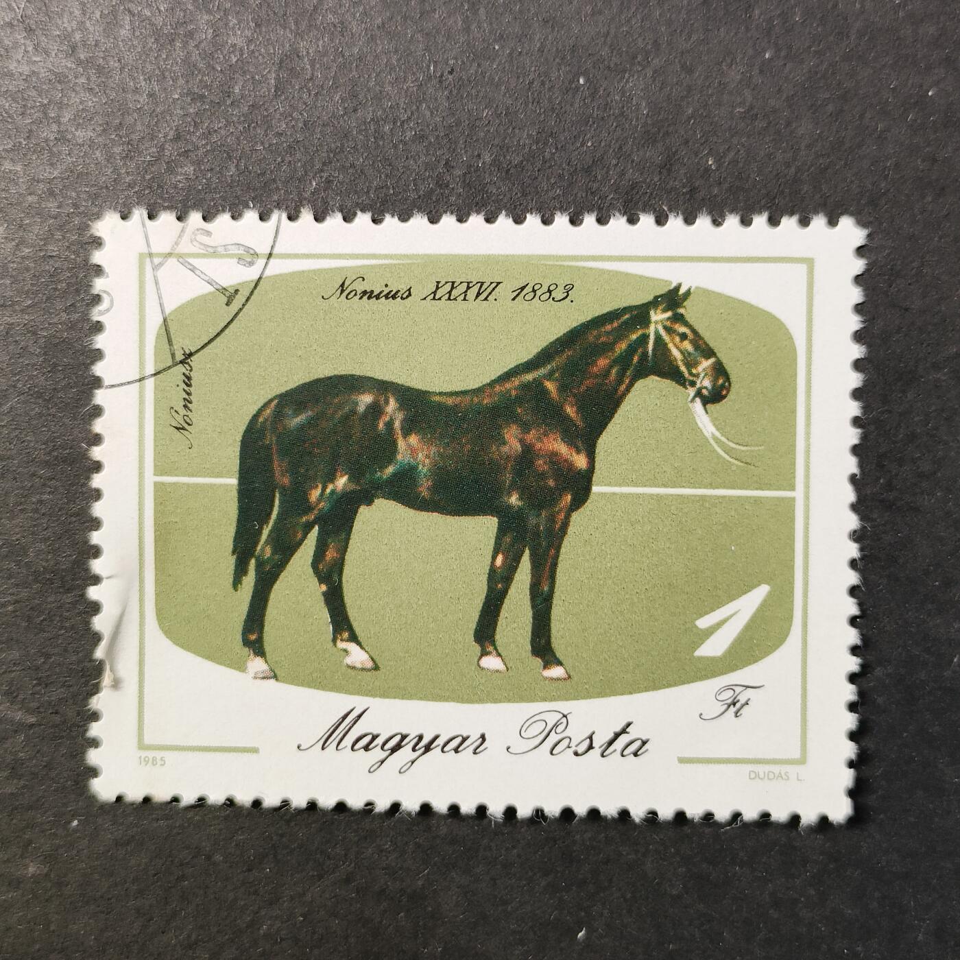 嘉禾收藏    【第425期】            无佣金、可寄存、满30元包邮 邮票一枚