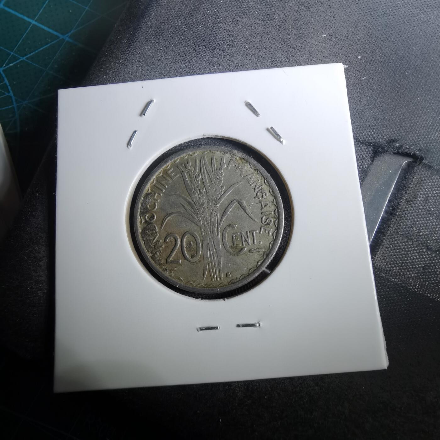 沼泽如烟--第950场