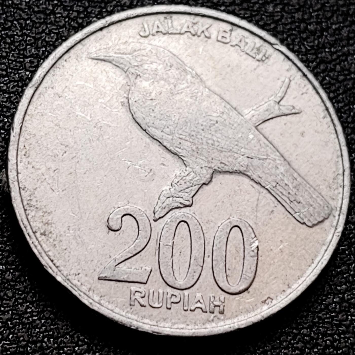 泉币菌-第159场-新年第二场 精品福利场 。