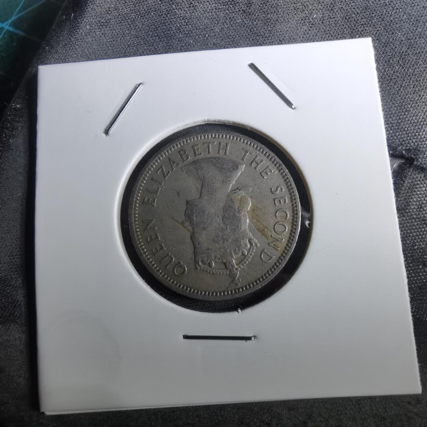 沼泽如烟--第950场