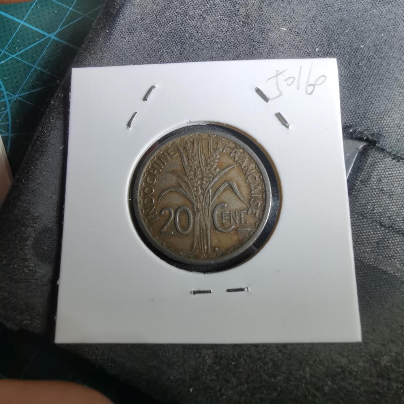 沼泽如烟--第950场