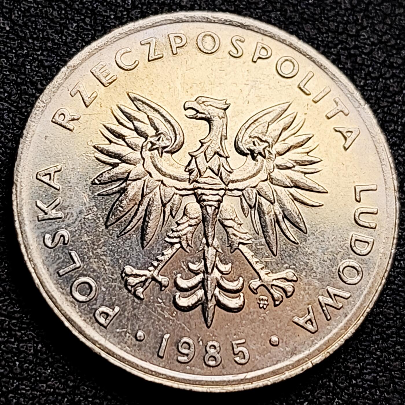 泉币菌-第160场-新年第三场 精品福利场 原光美品 1985年波兰20兹罗提铜镍硬币 鹰 23.8mm 