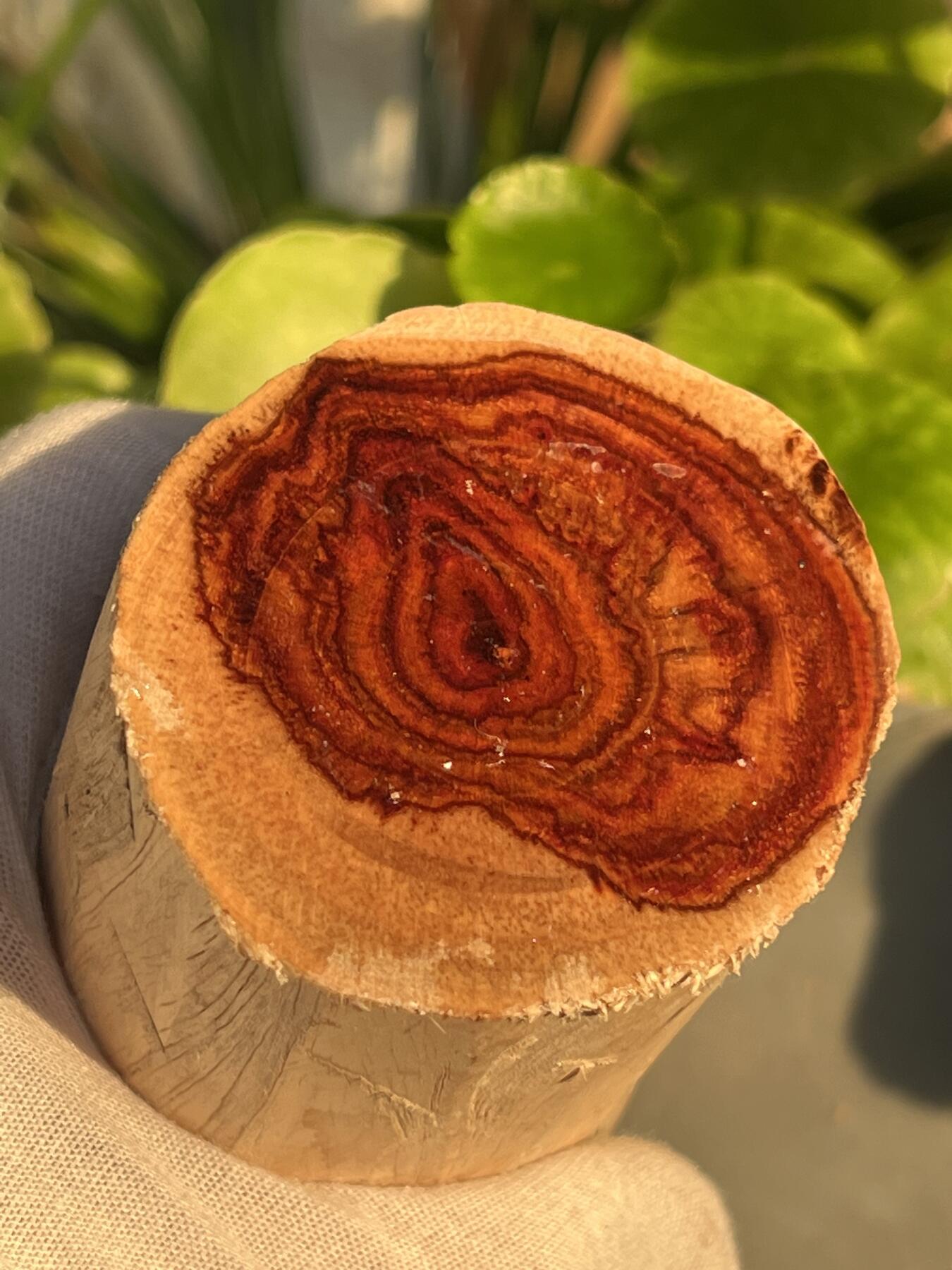 零元拍：  NO.88海南黄花梨原料。尺寸约105/50/50MM