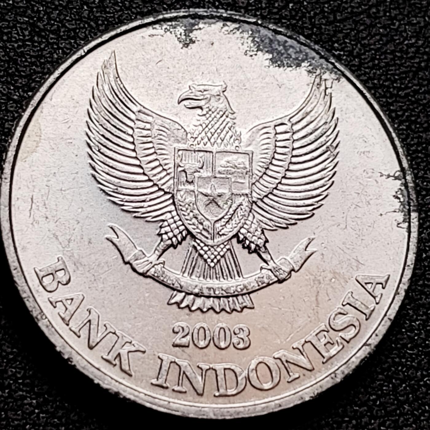 泉币菌-第159场-新年第二场 精品福利场 。