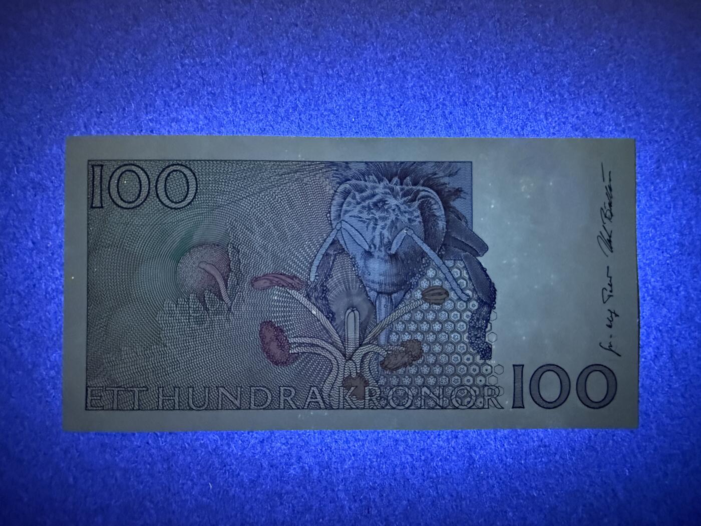 《艾美收藏》第227期-1.3周六外币黄金场-马年首拍 瑞典100克朗 UNC 1998年 初版 瑞典自然科学家林奈