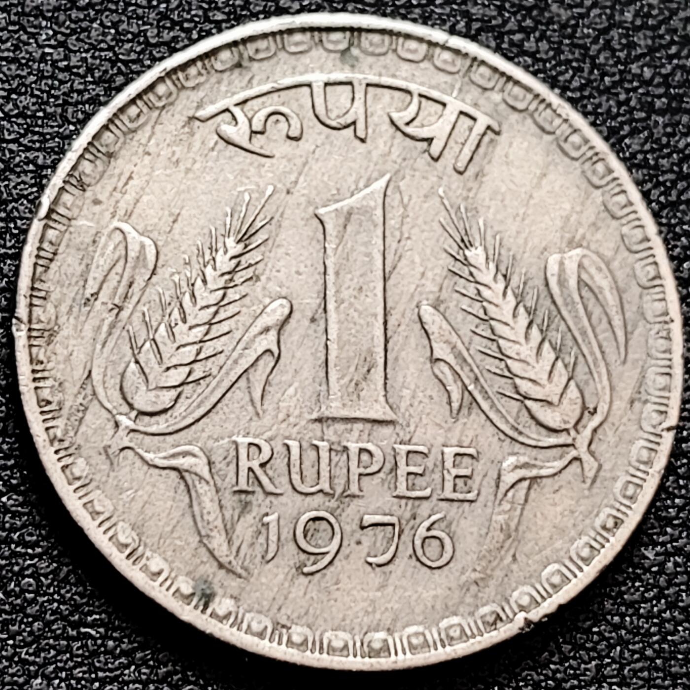 泉币菌-第159场-新年第二场 精品福利场 。