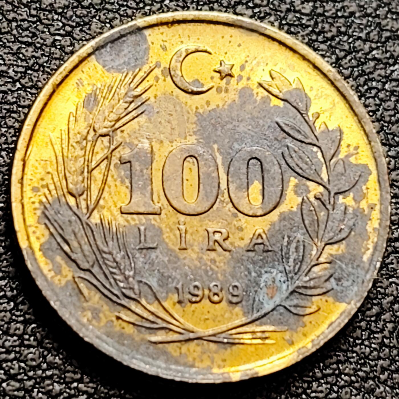 泉币菌-第159场-新年第二场 精品福利场 。