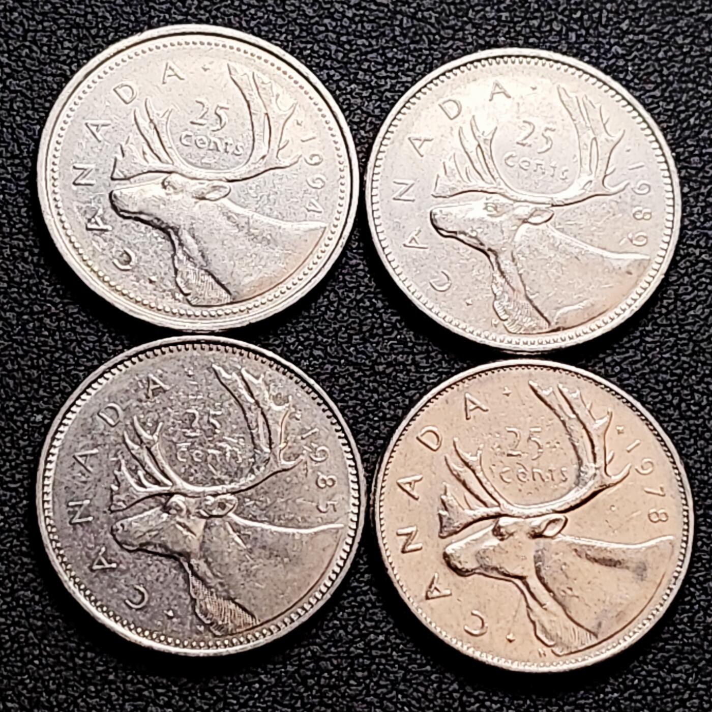 泉币菌-第159场-新年第二场 精品福利场 。