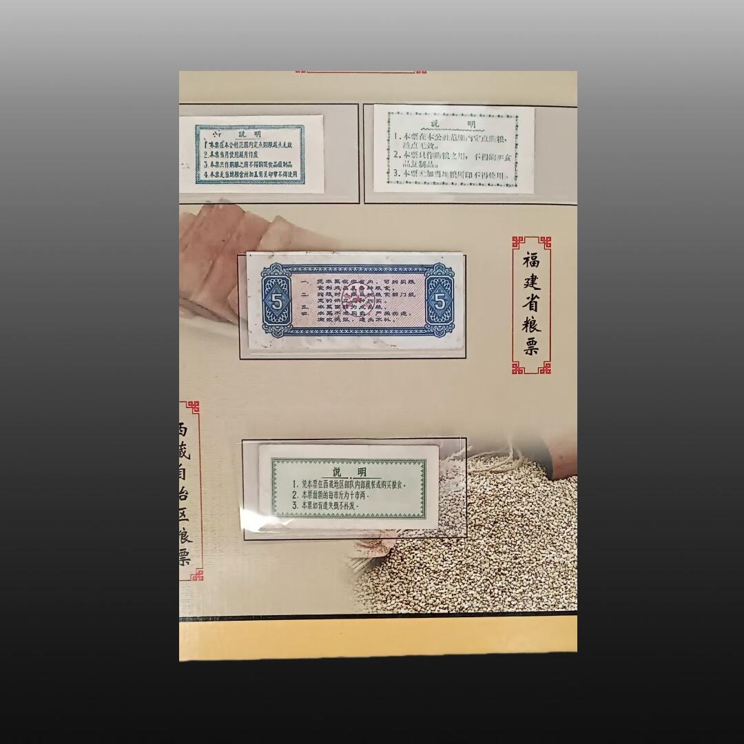 程曦曙光-安欣 粮通天下 一册(粮票+邮票)