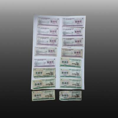 程曦曙光-安欣 - 1966年全国通用粮票