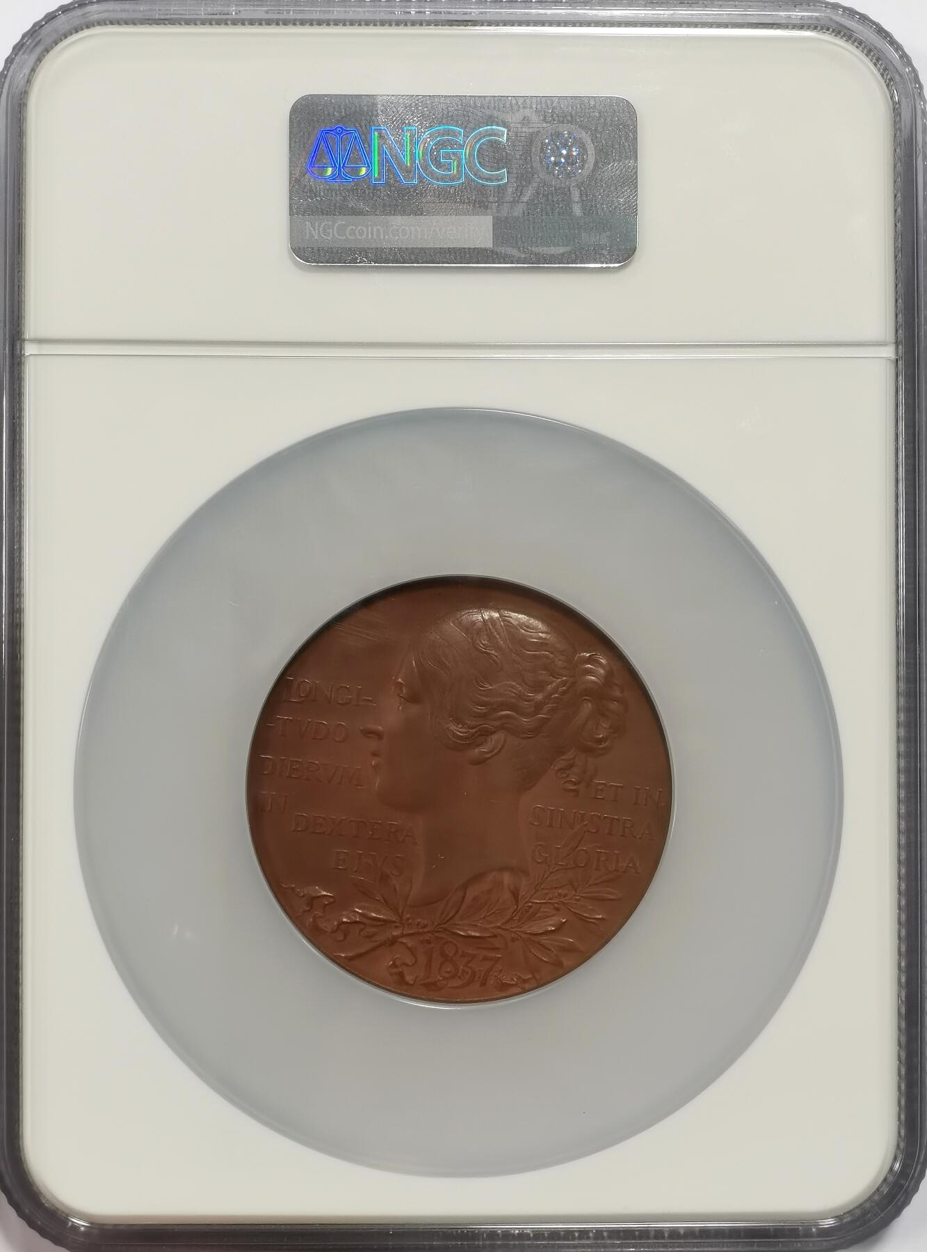 博洋堂“岁启嘉年”2026新年精品大拍专场暨第155期（全场包邮）