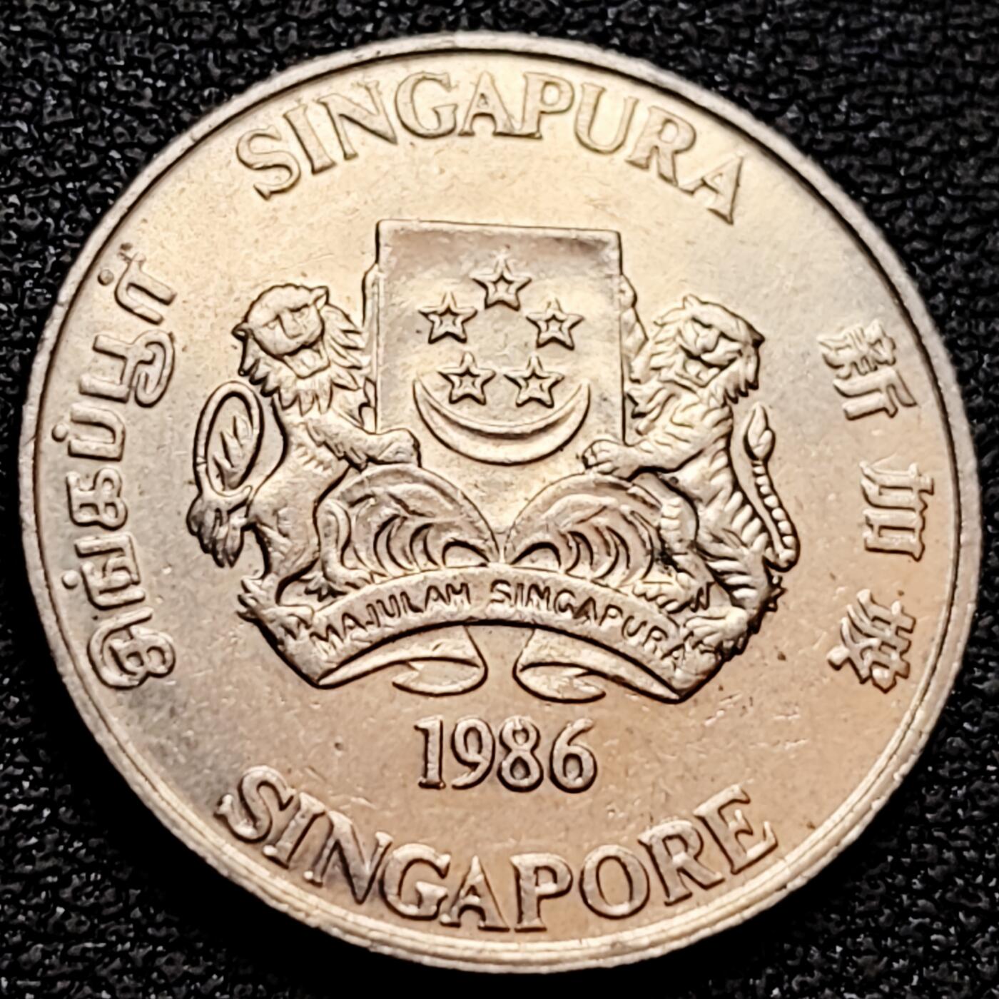 泉币菌-第159场-新年第二场 精品福利场 。