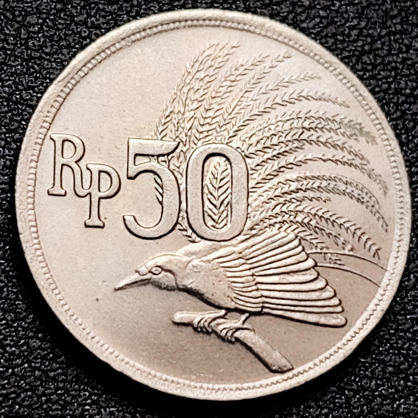 泉币菌-第159场-新年第二场 精品福利场 。