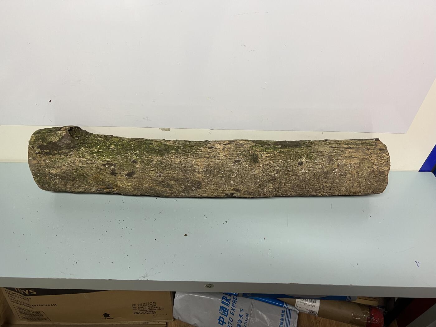 零元拍： 1231-1 金丝楠 原木 风水柱 横财（材）带皮， 尺寸：76.5/15/11.5CM。