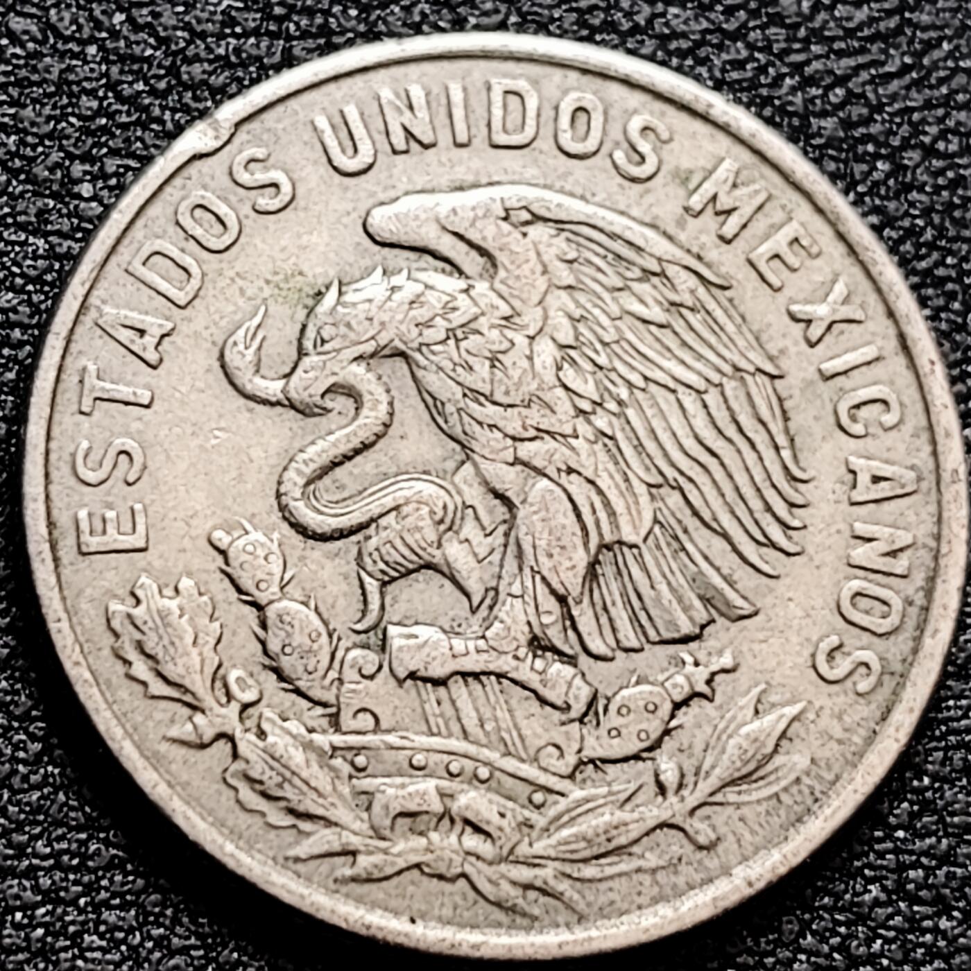 泉币菌-第159场-新年第二场 精品福利场 。