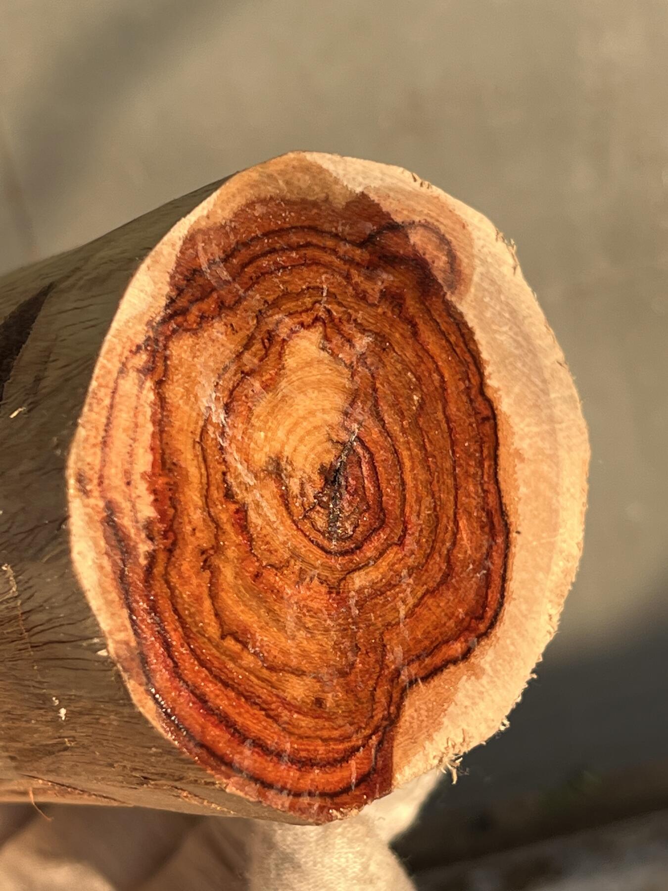 零元拍：  NO56-2 海南黄花梨原料。尺寸约105/50/50MM