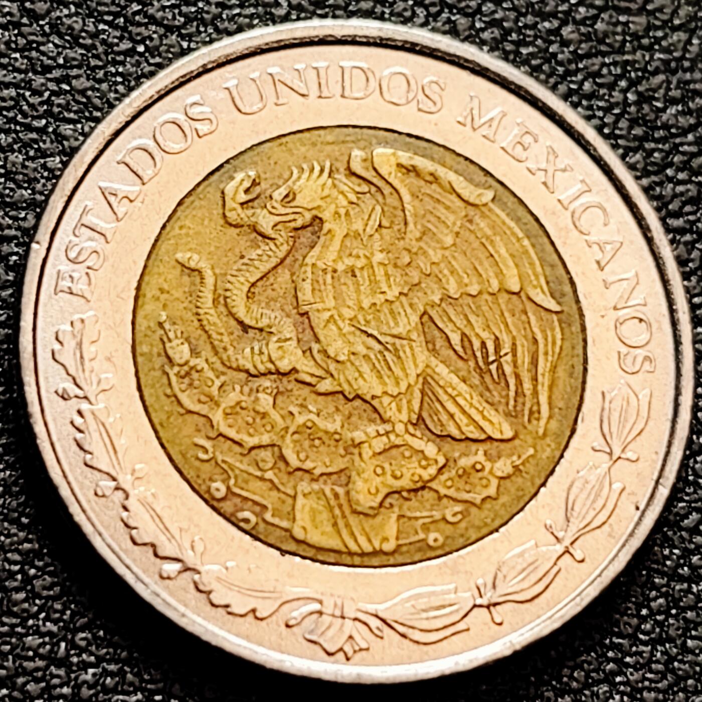 泉币菌-第159场-新年第二场 精品福利场 。