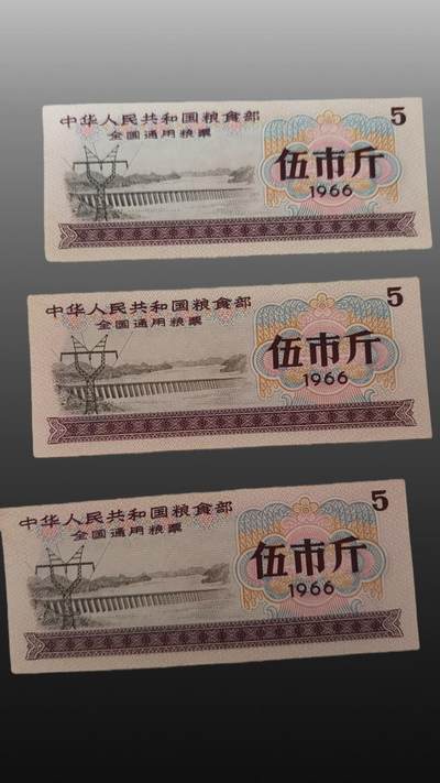 程曦曙光-安欣 - 全国通用粮票